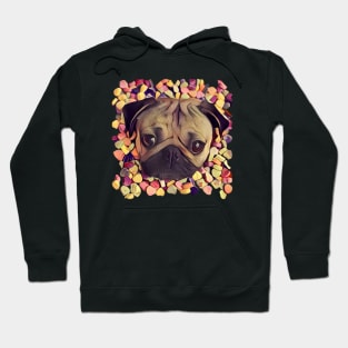 candy-pug Hoodie